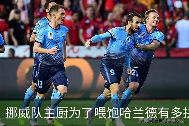 挪威队主厨为了喂饱哈兰德有多拼？他每天要补充6000卡路里热量，进入淘汰赛后球队紧急订购食材